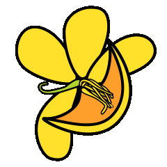 Yellow Flower logo
